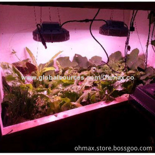 LED Hydroponic Grow Lamp, with Plant Factory Researching Planting Solution for Various Plants